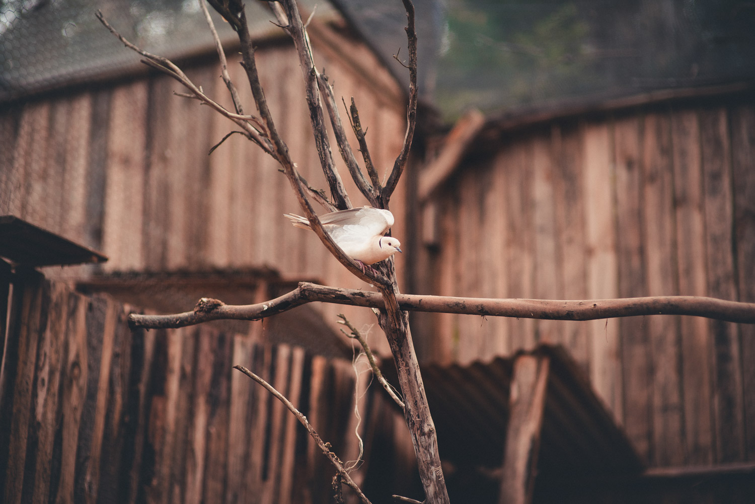 Fotografía de Trekking
