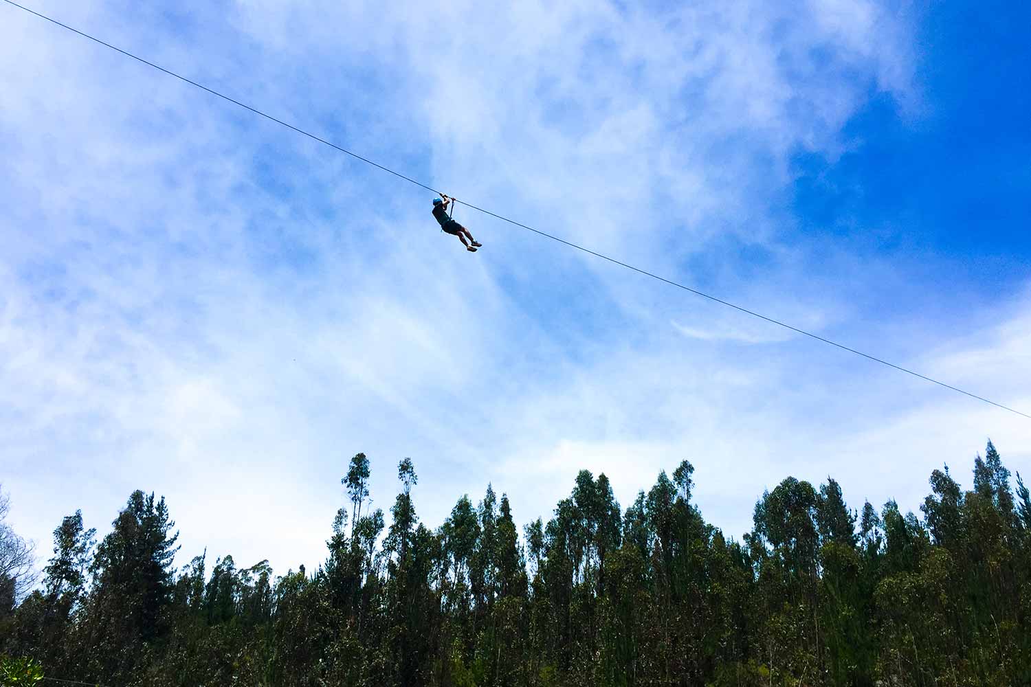 Fotografía de Canopy
